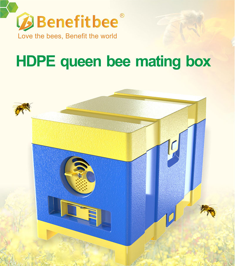bee queen beehive