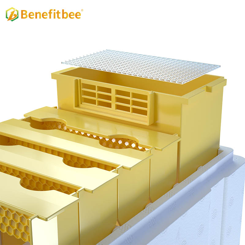 Beekeeping supplies foam beehive Bee queen mating box