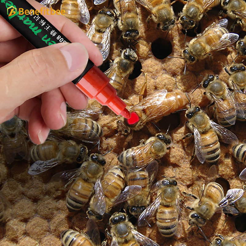 Benefitbee new design Beekeeping marking pen queen bee tools marking pen